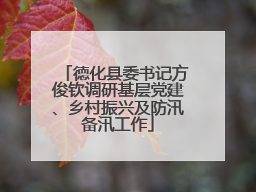 德化县委书记方俊钦调研基层党建、乡村振兴及防汛备汛工作
