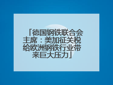 德国钢铁联合会主席：美加征关税给欧洲钢铁行业带来巨大压力