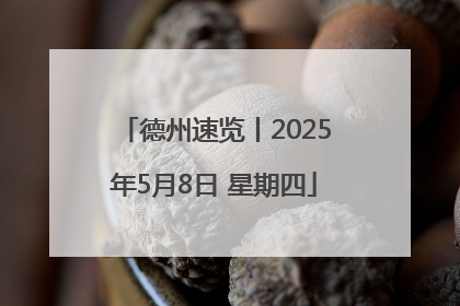 德州速览丨2025年5月8日 星期四