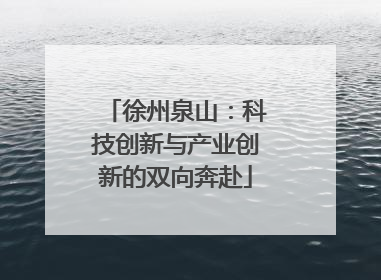 徐州泉山：科技创新与产业创新的双向奔赴