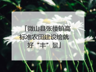 微山县张楼镇高标准农田建设绘就好“丰”景