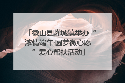 微山县驩城镇举办“浓情端午·圆梦微心愿”爱心帮扶活动