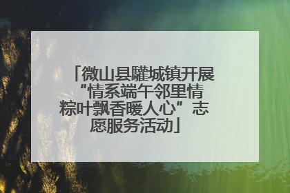 微山县驩城镇开展“情系端午邻里情 粽叶飘香暖人心”志愿服务活动