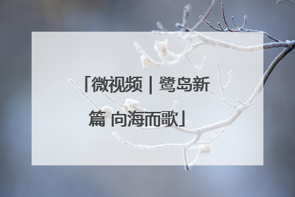 微视频｜鹭岛新篇 向海而歌
