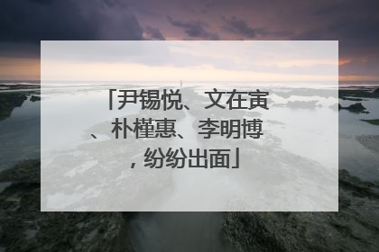 尹锡悦、文在寅、朴槿惠、李明博，纷纷出面