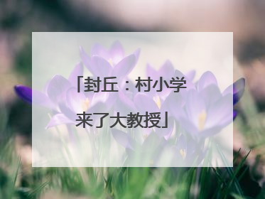 封丘：村小学来了大教授