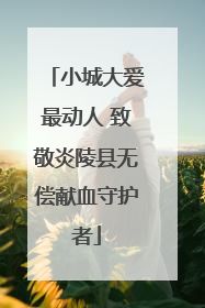 小城大爱最动人 致敬炎陵县无偿献血守护者