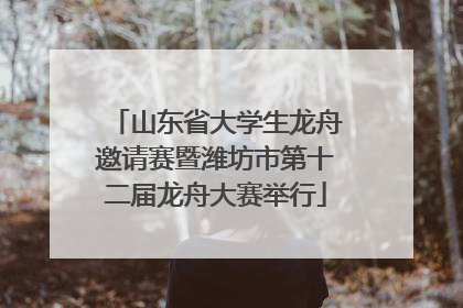 山东省大学生龙舟邀请赛暨潍坊市第十二届龙舟大赛举行