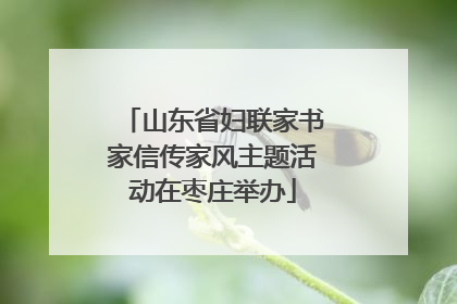 山东省妇联家书家信传家风主题活动在枣庄举办