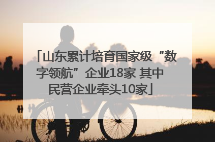 山东累计培育国家级“数字领航”企业18家 其中民营企业牵头10家