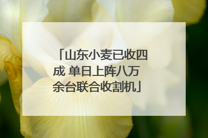 山东小麦已收四成 单日上阵八万余台联合收割机