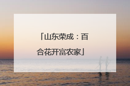 山东荣成：百合花开富农家
