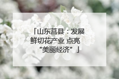 山东莒县：发展鲜切花产业 点亮“美丽经济”