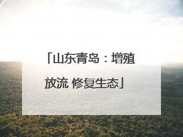 山东青岛：增殖放流 修复生态