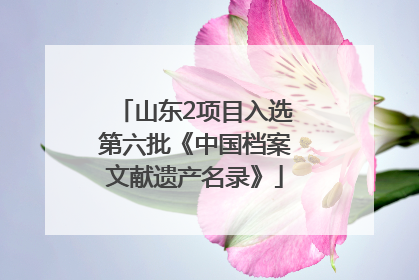 山东2项目入选第六批《中国档案文献遗产名录》