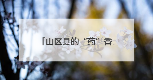 山区县的“药”香致富经丨万千气象看四川·平武③