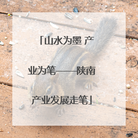 山水为墨 产业为笔——陕南产业发展走笔