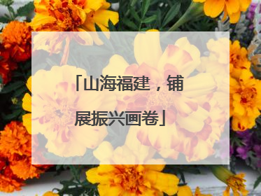 山海福建，铺展振兴画卷
