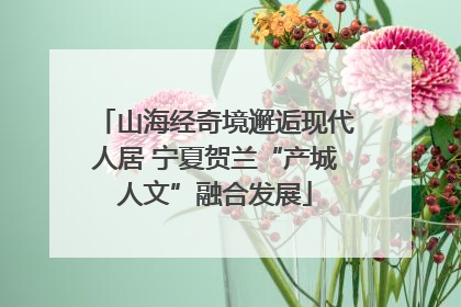 山海经奇境邂逅现代人居 宁夏贺兰“产城人文”融合发展