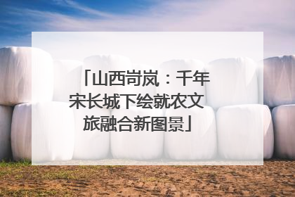 山西岢岚：千年宋长城下绘就农文旅融合新图景