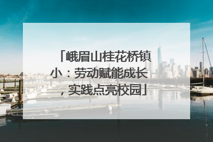 峨眉山桂花桥镇小：劳动赋能成长，实践点亮校园