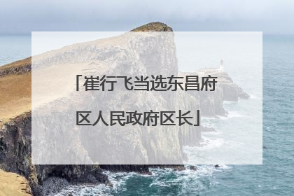 崔行飞当选东昌府区人民政府区长