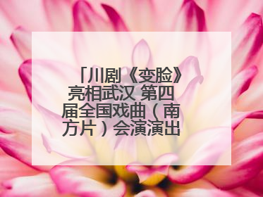 川剧《变脸》亮相武汉 第四届全国戏曲（南方片）会演演出过半频掀热潮