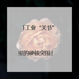 工业“关节”里的硬核突围