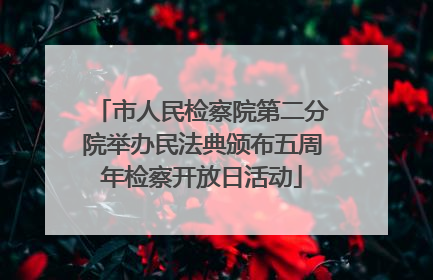 市人民检察院第二分院举办民法典颁布五周年检察开放日活动