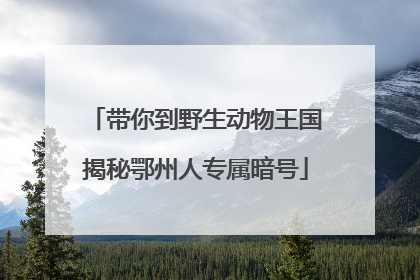 带你到野生动物王国揭秘鄂州人专属暗号