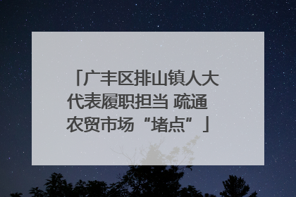 广丰区排山镇人大代表履职担当 疏通农贸市场“堵点”