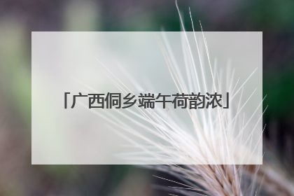 广西侗乡端午荷韵浓