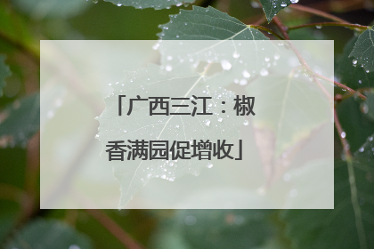 广西三江：椒香满园促增收