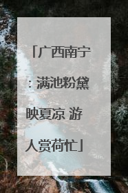 广西南宁：满池粉黛映夏凉 游人赏荷忙