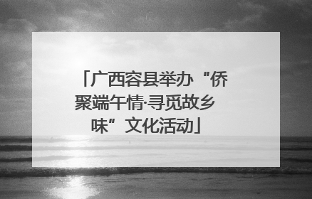 广西容县举办“侨聚端午情·寻觅故乡味”文化活动