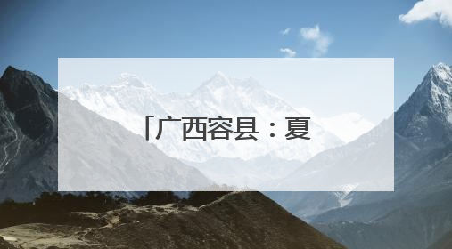广西容县：夏日荷花引客来