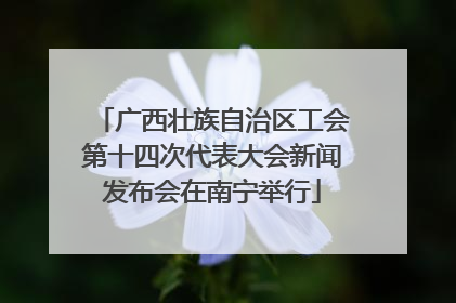 广西壮族自治区工会第十四次代表大会新闻发布会在南宁举行
