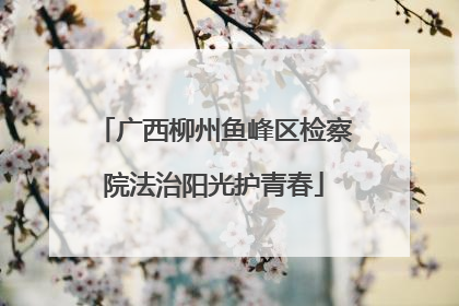广西柳州鱼峰区检察院法治阳光护青春