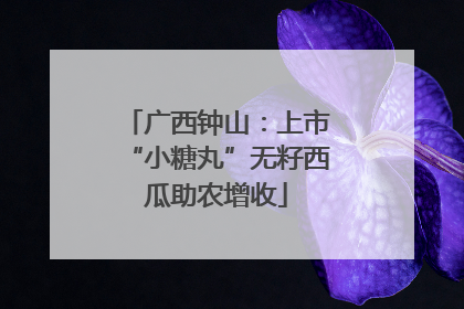广西钟山：上市“小糖丸”无籽西瓜助农增收