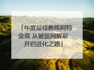年度最佳教练阿特金森 从被篮网解雇开启进化之路