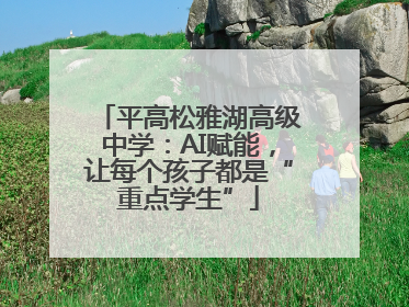 平高松雅湖高级中学：AI赋能，让每个孩子都是“重点学生”