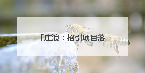 庄浪：招引项目落地 赋能产业振兴