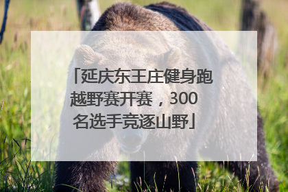 延庆东王庄健身跑越野赛开赛，300名选手竞逐山野
