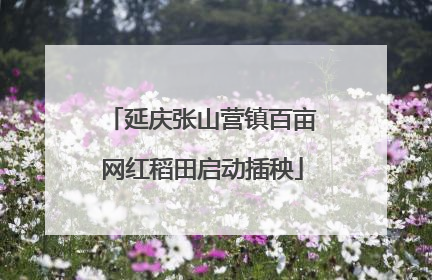 延庆张山营镇百亩网红稻田启动插秧