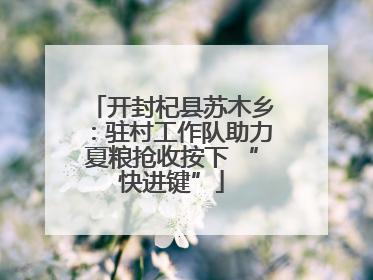 开封杞县苏木乡：驻村工作队助力夏粮抢收按下 “快进键”