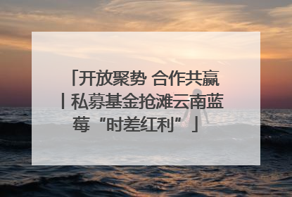 开放聚势 合作共赢丨私募基金抢滩云南蓝莓“时差红利”