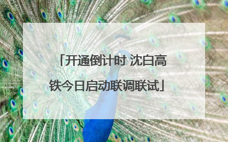 开通倒计时 沈白高铁今日启动联调联试
