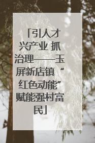 引人才 兴产业 抓治理——玉屏新店镇“红色动能”赋能强村富民