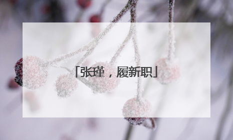 张瑾，履新职
