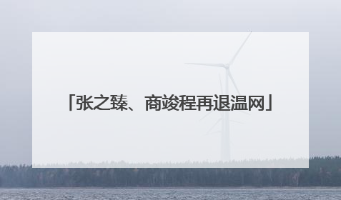 张之臻、商竣程再退温网